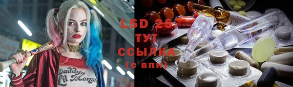 стаф Баксан