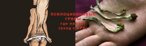 стаф Баксан