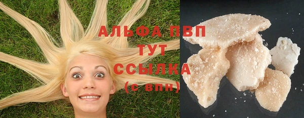 стаф Баксан