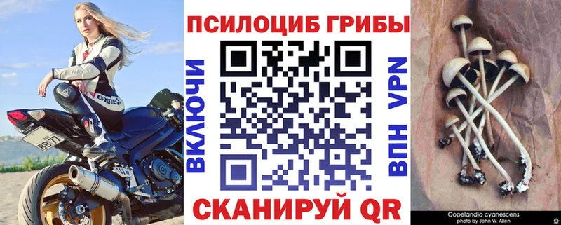 наркота  mega рабочий сайт  Псилоцибиновые грибы Cubensis  Уварово 